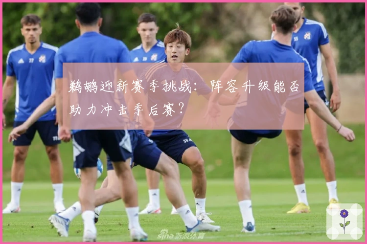 鹈鹕迎新赛季挑战：阵容升级能否助力冲击季后赛？