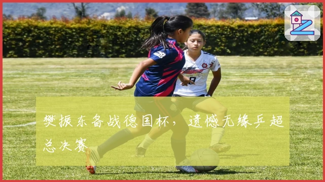 樊振东备战德国杯，遗憾无缘乒超总决赛